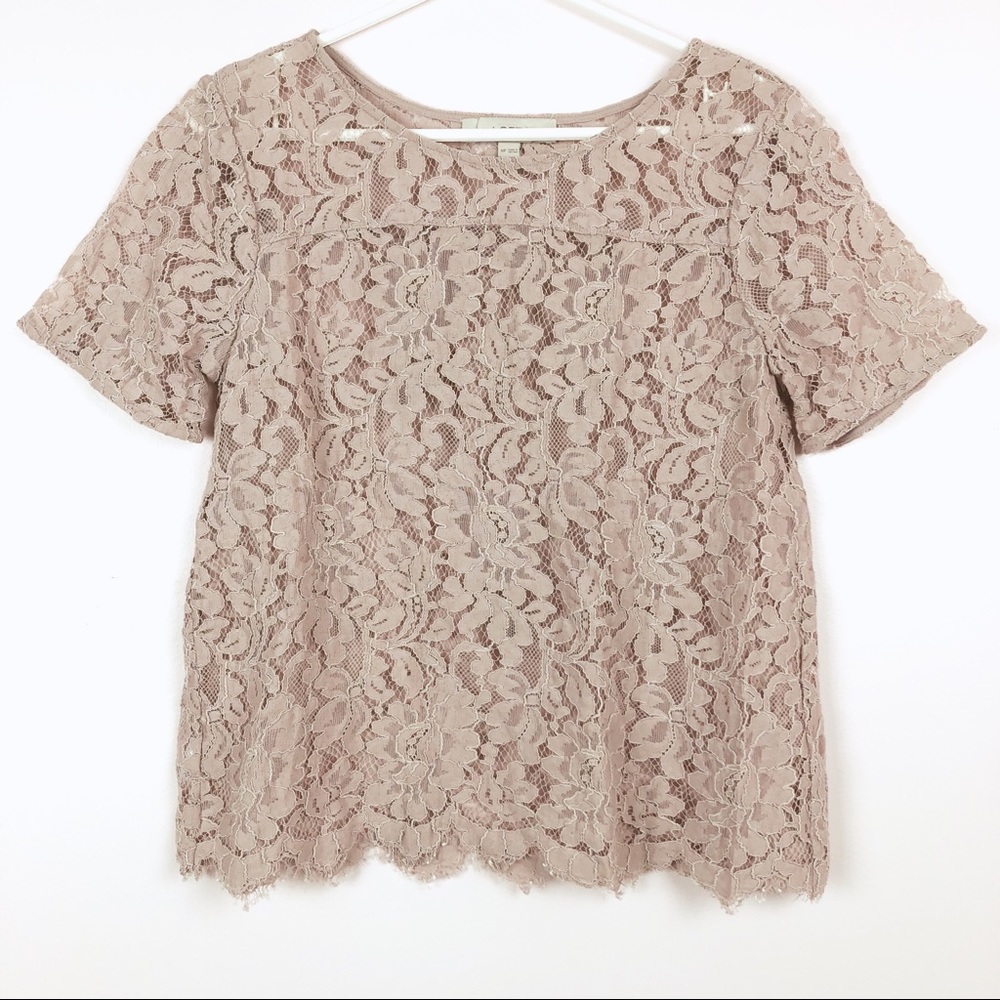 LOFT Mauve Pink Lace Short Sleeve Blouse Size MP